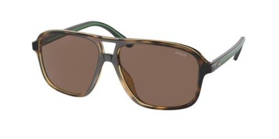 Picture of Polo Sunglasses PH4177U