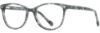 Picture of Scott Harris Eyeglasses SH-808