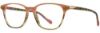 Picture of Scott Harris Eyeglasses SH-X 009