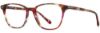 Picture of Scott Harris Eyeglasses SH-X 009