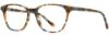 Picture of Scott Harris Eyeglasses SH-X 009