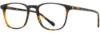 Picture of Scott Harris Eyeglasses SH-X 010