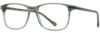 Picture of Scott Harris Eyeglasses SH-X 013
