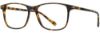 Picture of Scott Harris Eyeglasses SH-X 013