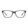 Picture of Christian Lacroix Eyeglasses CL 1100