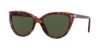 Picture of Persol Sunglasses PO3251S