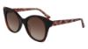 Picture of Bebe Sunglasses BB7227