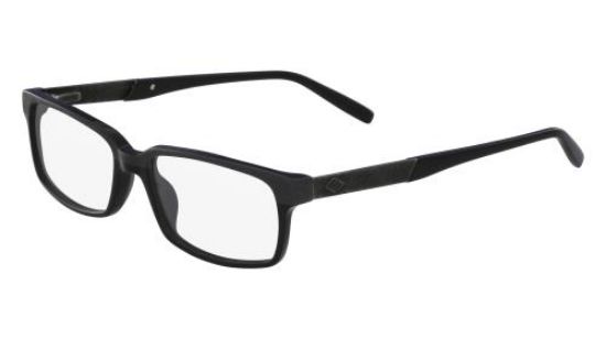 Picture of Joseph Abboud Eyeglasses JA4060