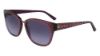 Picture of Bebe Sunglasses BB7207