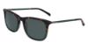Picture of Cole Haan Sunglasses CH6068