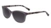 Picture of Cole Haan Sunglasses CH7045