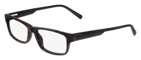 Picture of Joseph Abboud Eyeglasses JA4042