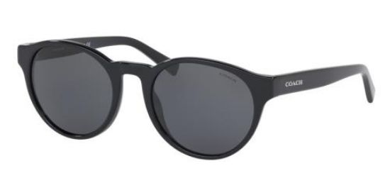 Picture of Coach Sunglasses HC8275