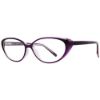 Picture of Georgetown Eyeglasses GTN772