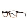 Picture of Dickies Eyeglasses DK201