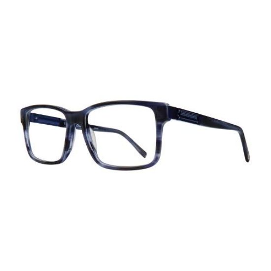 Picture of Dickies Eyeglasses DK202