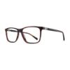 Picture of Dickies Eyeglasses DK208