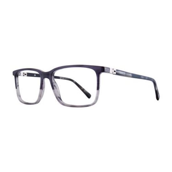 Picture of Dickies Eyeglasses DK210