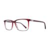Picture of Dickies Eyeglasses DK210