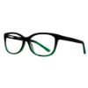Picture of Stylewise Eyeglasses SW448
