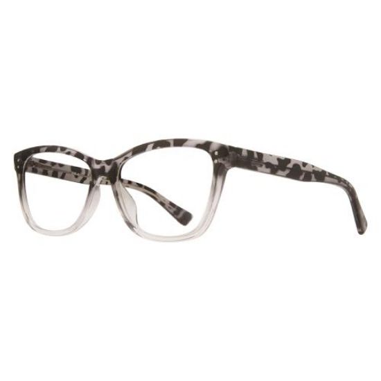 Picture of Stylewise Eyeglasses SW456