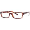 Picture of Equinox Eyeglasses EQ227