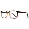 Picture of Equinox Eyeglasses EQ323