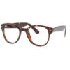 Picture of Genius Eyeglasses G511