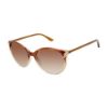 Picture of Elle Eyeglasses EL 14914