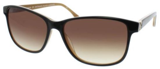 Picture of Bcbgmaxazria Sunglasses ENTRANCE