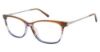 Picture of Nicole Miller Eyeglasses BARNELL