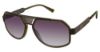 Picture of C-Life Sunglasses ELAN