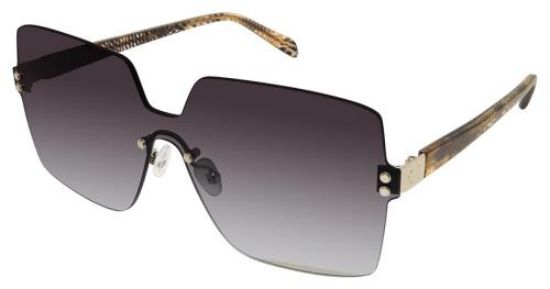 Picture of C-Life Sunglasses SAGE