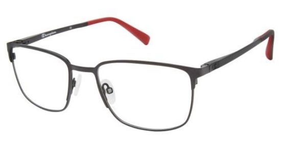 Picture of Champion Eyeglasses FL1006