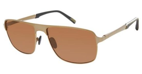 Picture of Champion Eyeglasses FL6006