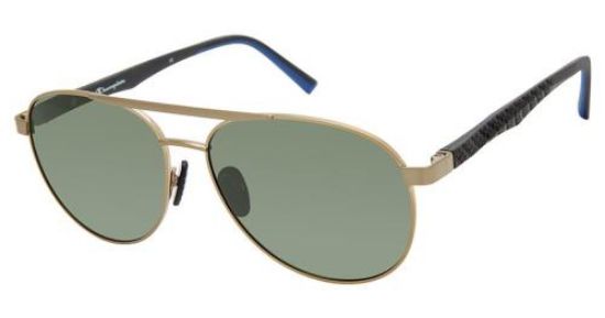 Picture of Champion Eyeglasses FL6008