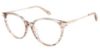 Picture of Sperry Eyeglasses DARCY