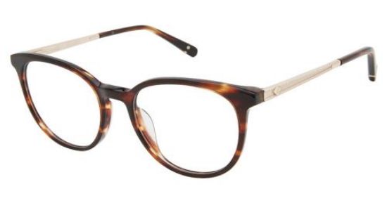 Picture of Sperry Eyeglasses BRONWYN