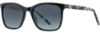 Picture of INVU Sunglasses INVU- 249