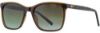 Picture of INVU Sunglasses INVU- 249