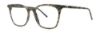 Picture of Vera Wang Eyeglasses V587