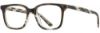 Picture of Alan J Eyeglasses AJ-146