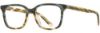 Picture of Alan J Eyeglasses AJ-146