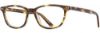 Picture of Alan J Eyeglasses AJ-150