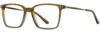 Picture of Michael Ryen Eyeglasses MR-336