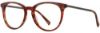 Picture of Adin Thomas Eyeglasses AT-442