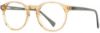 Picture of Adin Thomas Eyeglasses AT-460