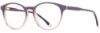 Picture of Adin Thomas Eyeglasses AT-464