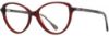 Picture of Alan J Eyeglasses AJ-504