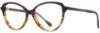 Picture of Alan J Eyeglasses AJ-504